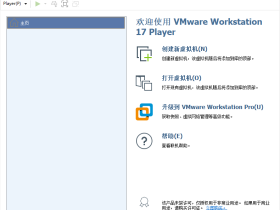 精简版虚拟机 VMware Workstation Player 17.6.3 Build 24583834 中文多语免费版